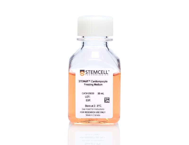 STEMdiff™ Cardiomyocyte Freezing Medium