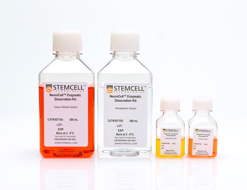 NeuroCult™ Enzymatic Dissociation Kit for Adult CNS Tissue (Mouse and Rat)