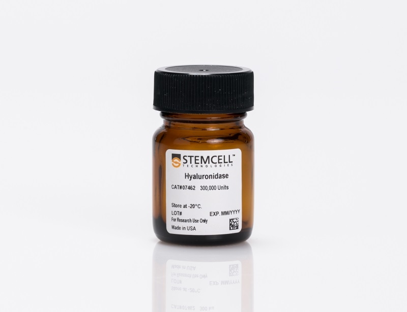Hyaluronidase