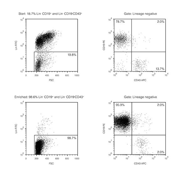 EasySep™ Human Pan-B Cell Enrichment Kit_产品中心_北京砺达辰生物科技有限公司