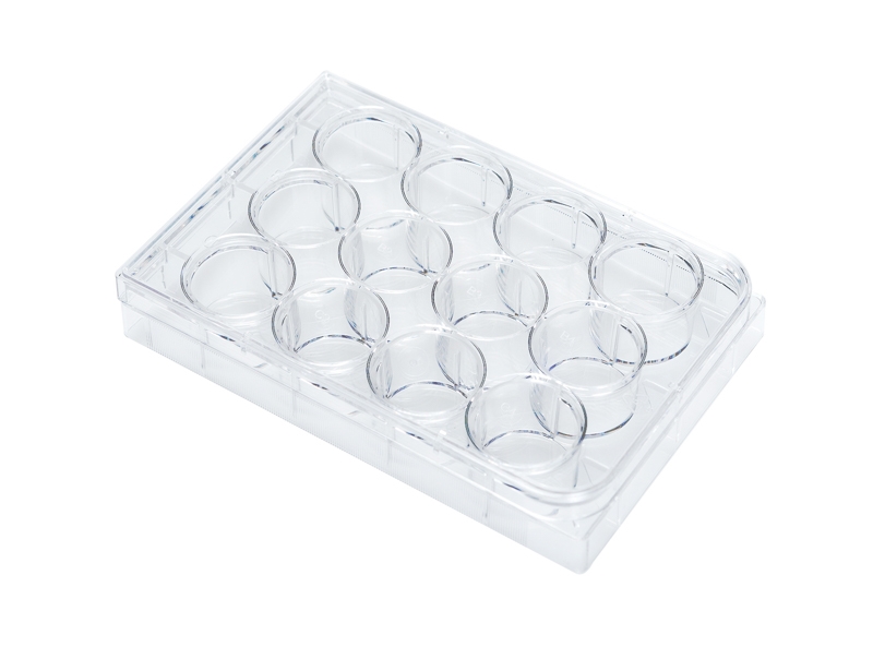 12-Well Flat-Bottom Plate, Tissue Culture-Treated