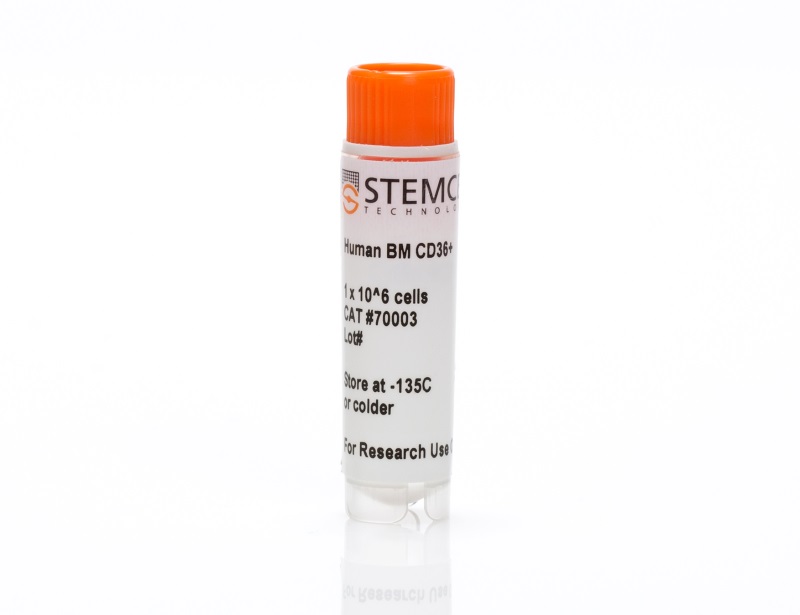 Human Bone Marrow CD36+ Cells, Frozen