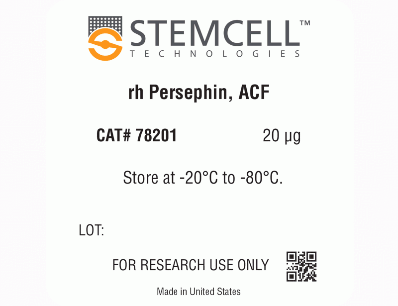 Human Recombinant Persephin, ACF